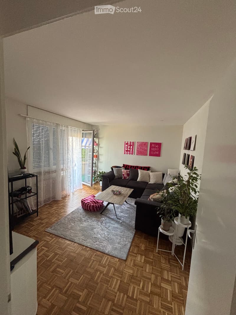 2.5 Room Apartment for Sublet (4)