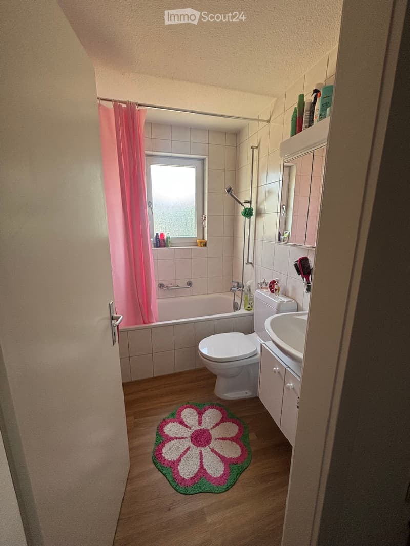 2.5 Room Apartment for Sublet (2)