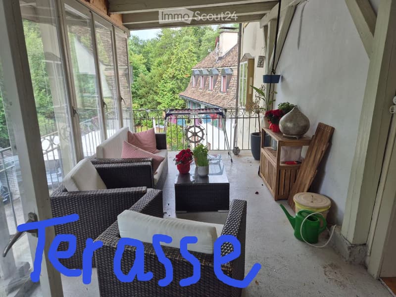Appartement confortable de 4,5 pièces avec grande terrasse (2)