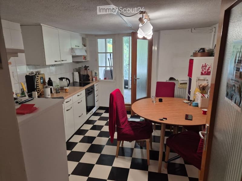 Appartement confortable de 4,5 pièces avec grande terrasse (5)