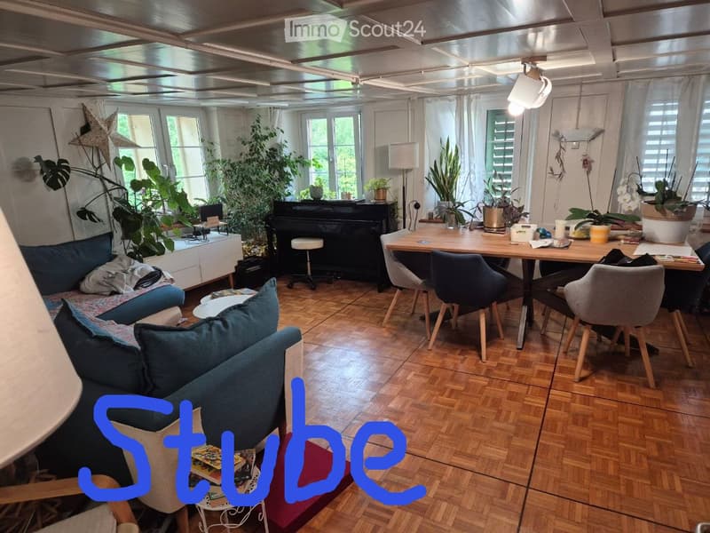 Appartement confortable de 4,5 pièces avec grande terrasse (1)