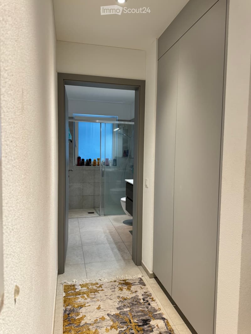 2.5 rooms with garden, terrace and 2 parking spaces in Grono (3)