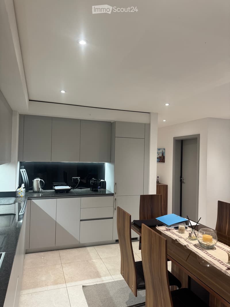 2.5 rooms with garden, terrace and 2 parking spaces in Grono (9)