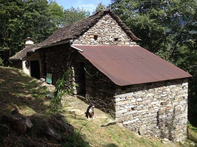 Grange, ferme et canvetto séparé à transformer en rustique (1)