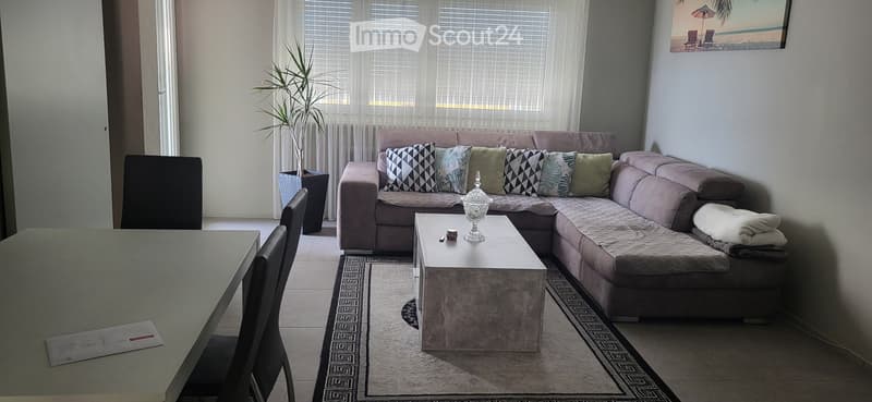 Subletting Monte Carasso 3.5 rooms (3)