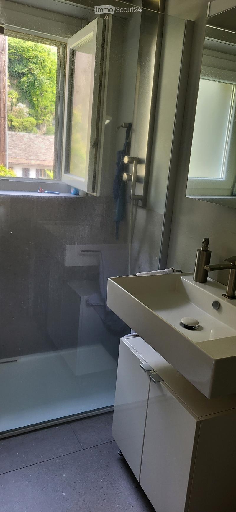 Subletting Monte Carasso 3.5 rooms (4)