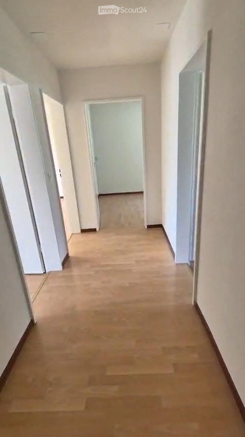 Large 3.5 room apartment with balcony (3)