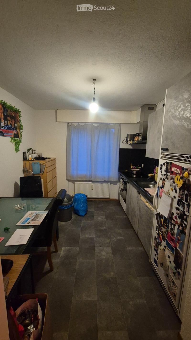 Large 3.5 room apartment with balcony (4)