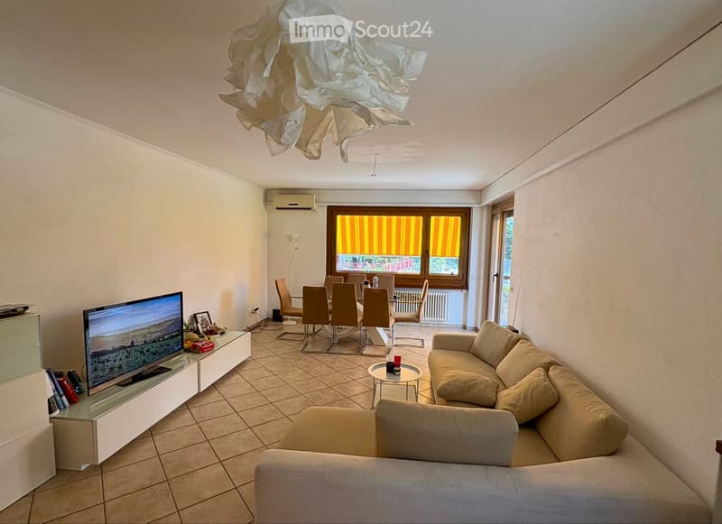 Bel appartement lumineux de 4 pièces et demi (1)