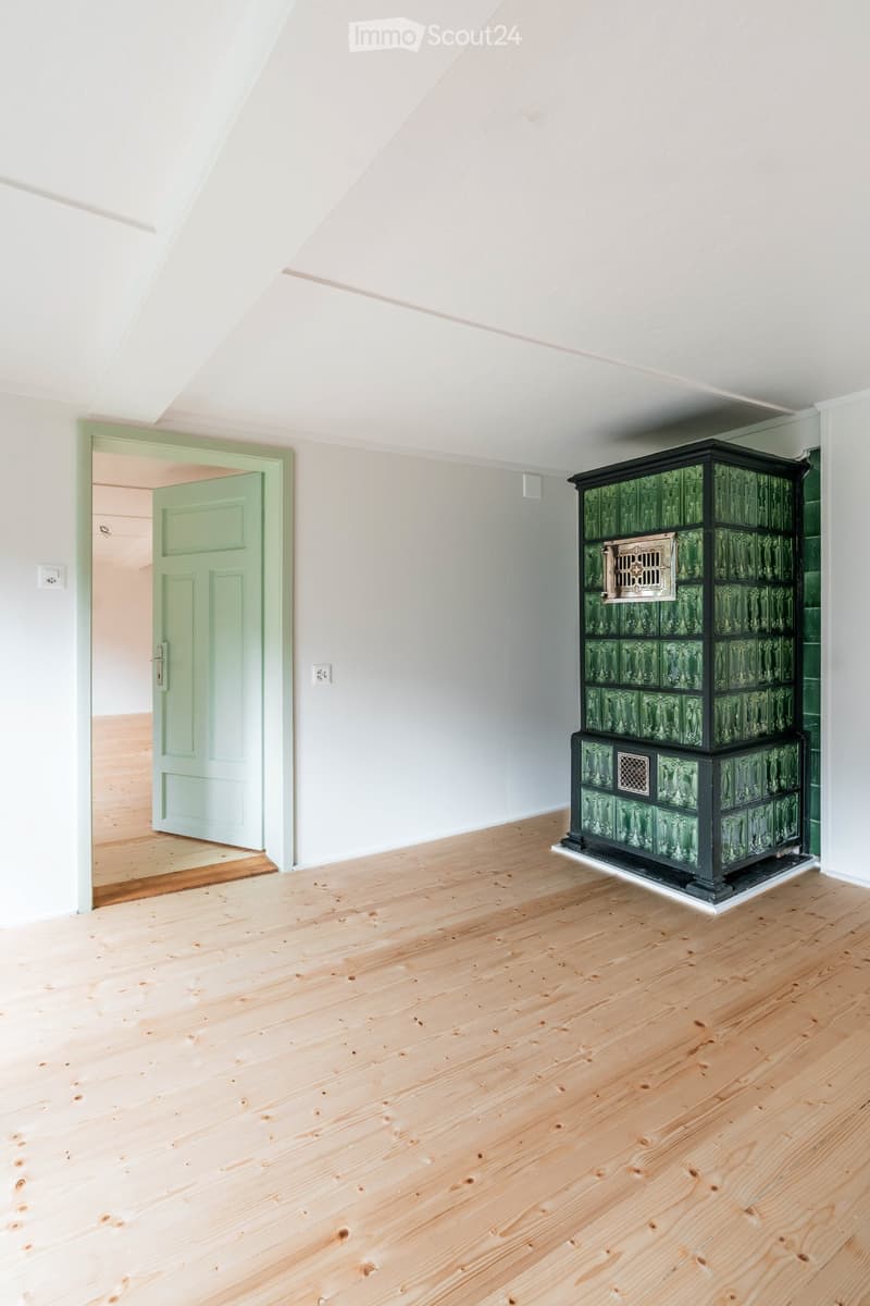 In the center, with garden, 75m2, 4-5 rooms, newly renovated (1)