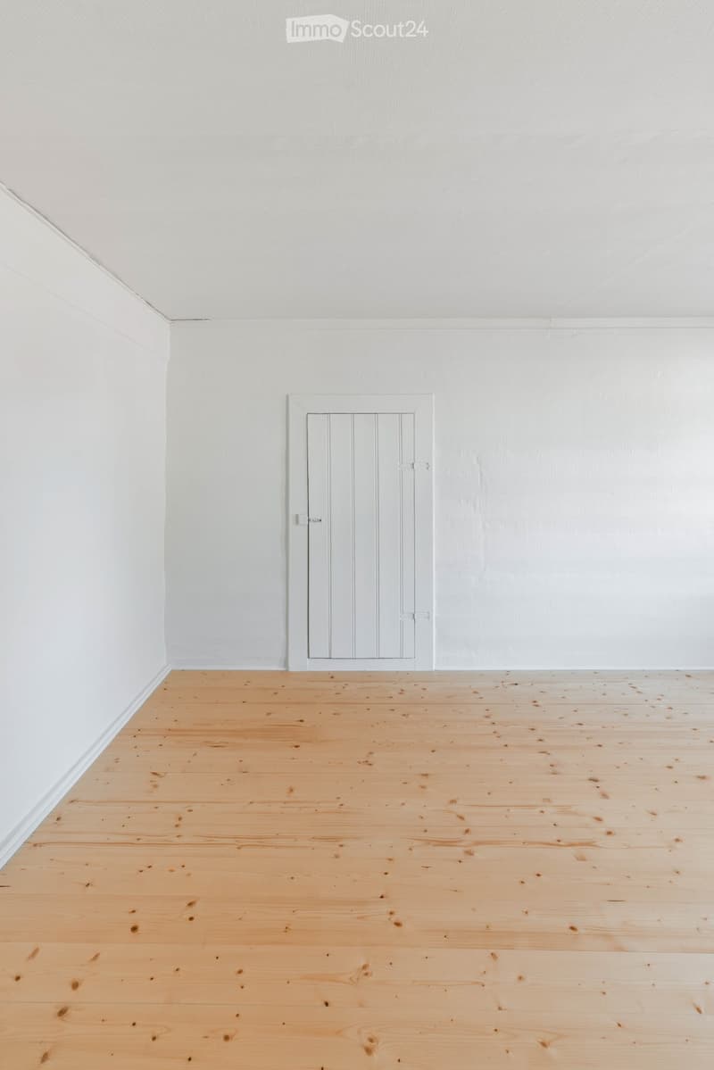 In the center, with garden, 75m2, 4-5 rooms, newly renovated (3)
