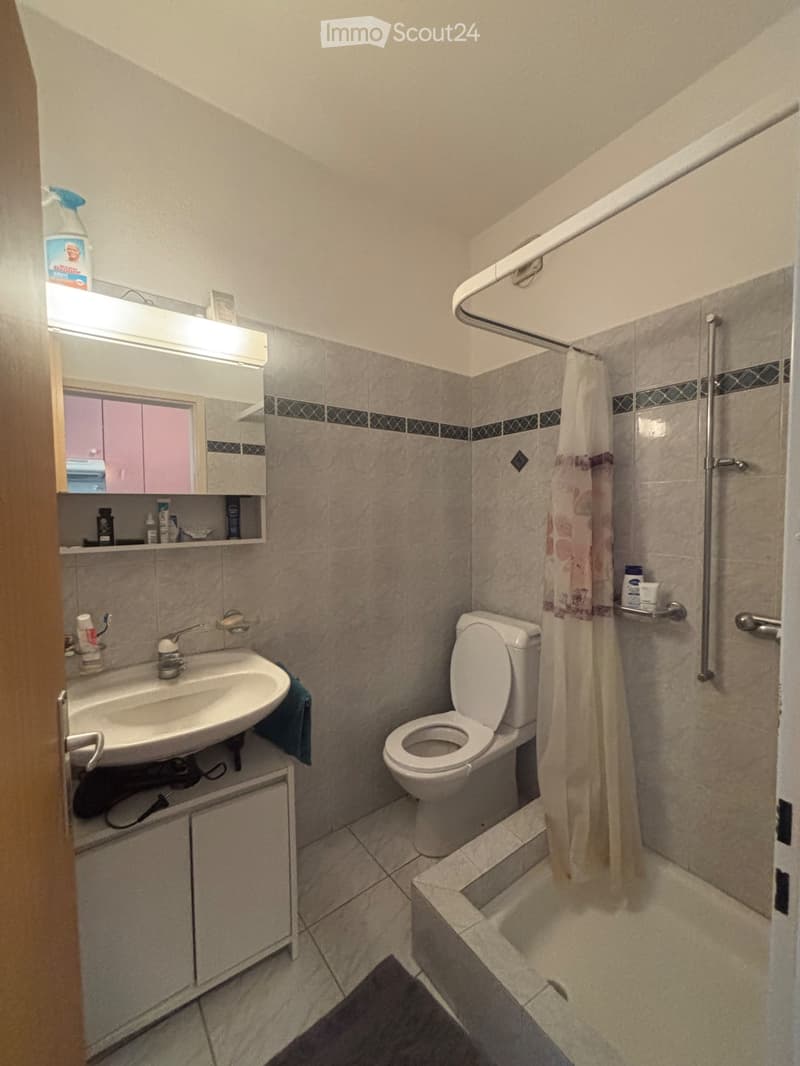 Furnished studio, south of Bellinzona (3)