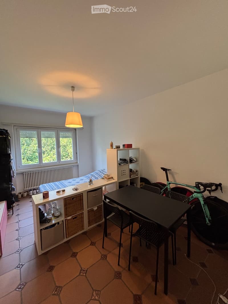 Furnished studio, south of Bellinzona (4)