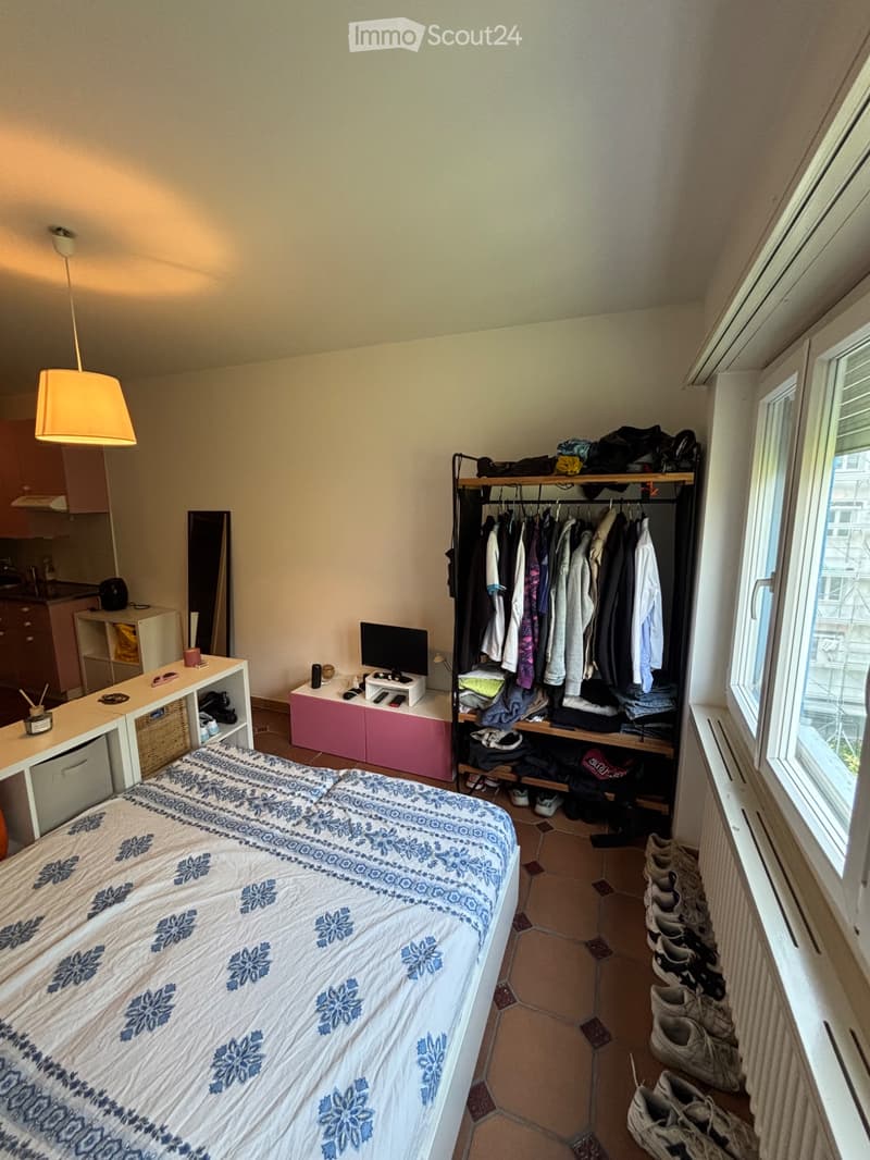 Furnished studio, south of Bellinzona (5)