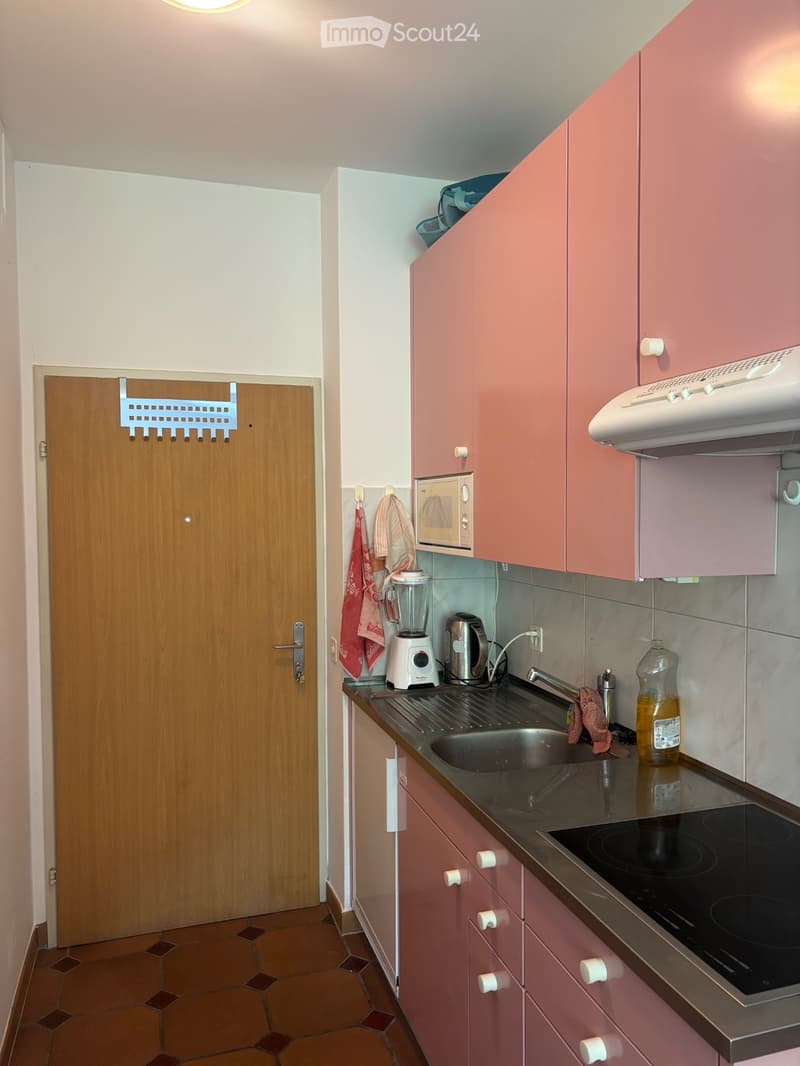 Furnished studio, south of Bellinzona (2)