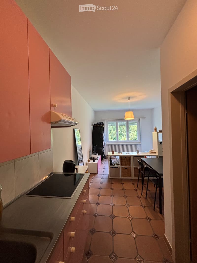 Furnished studio, south of Bellinzona (1)