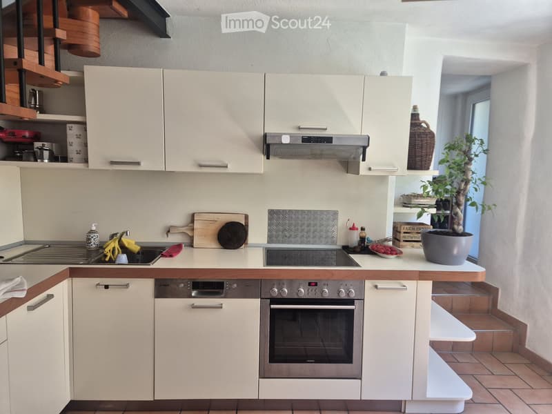 Casetta 3.5 locali con giardino privato a 5 minuti da Lugano (3)