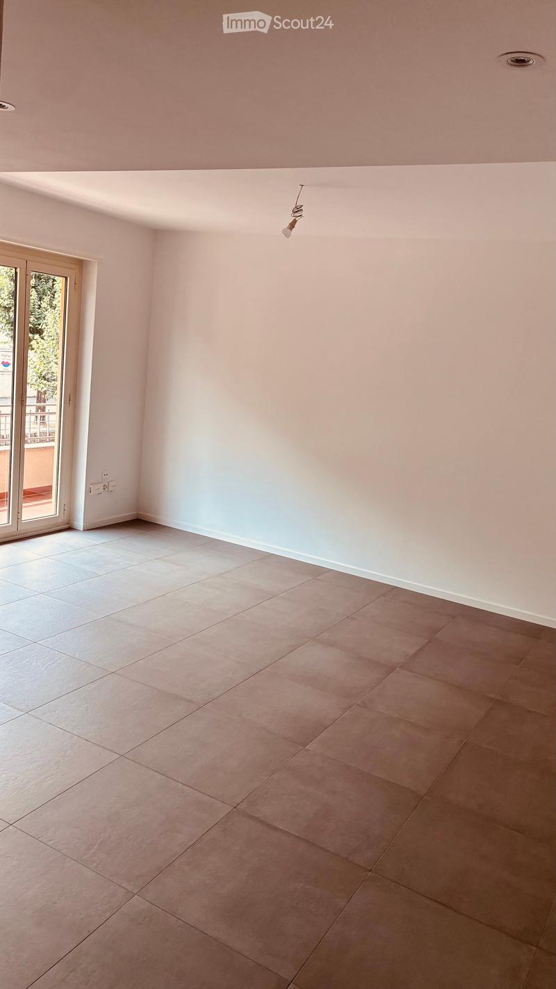 Renovated apartment in Chiasso (3)