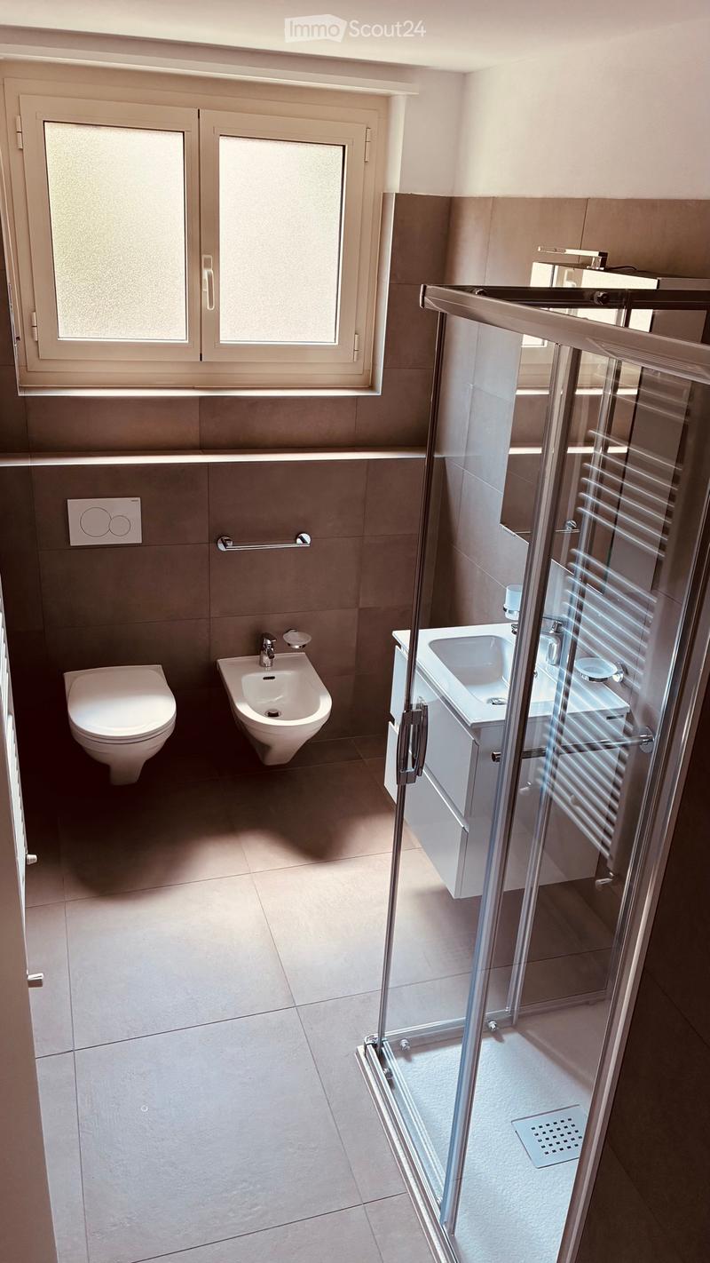 Renovated apartment in Chiasso (2)