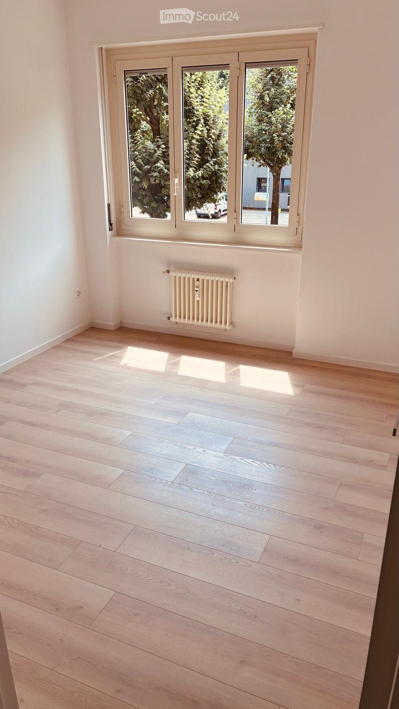 Renovated apartment in Chiasso (5)