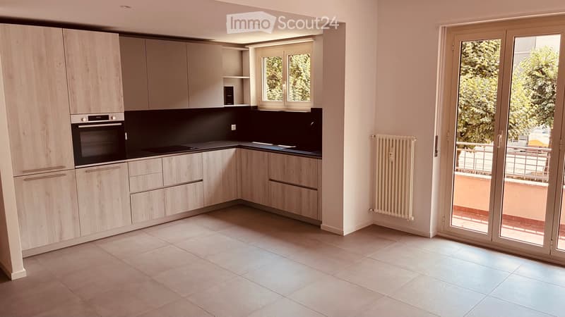 Renovated apartment in Chiasso (1)