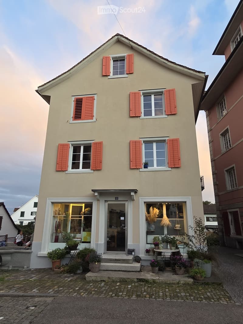 Appartamento ristrutturato di 3,5 locali con vista lago a Thalwil (1)