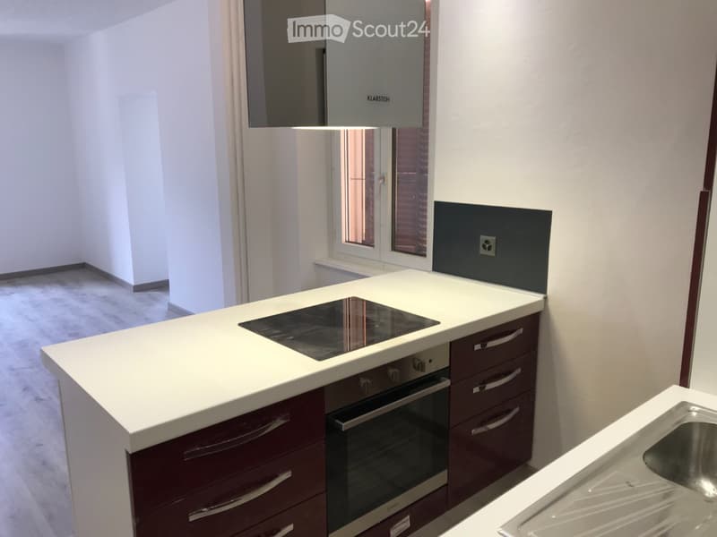 Beautiful 2.5-Room Apartment in Bellinzona (4)
