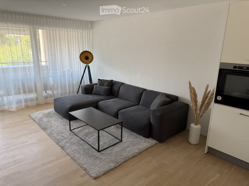 *Moderne 2.5-room apartment for rent, furnished* *temporary* (1)