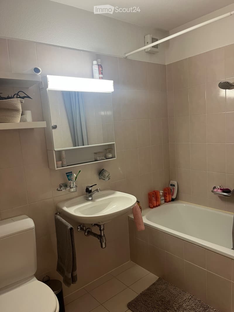 Appartamento 1.5 locali a Losone  760/mese (3)
