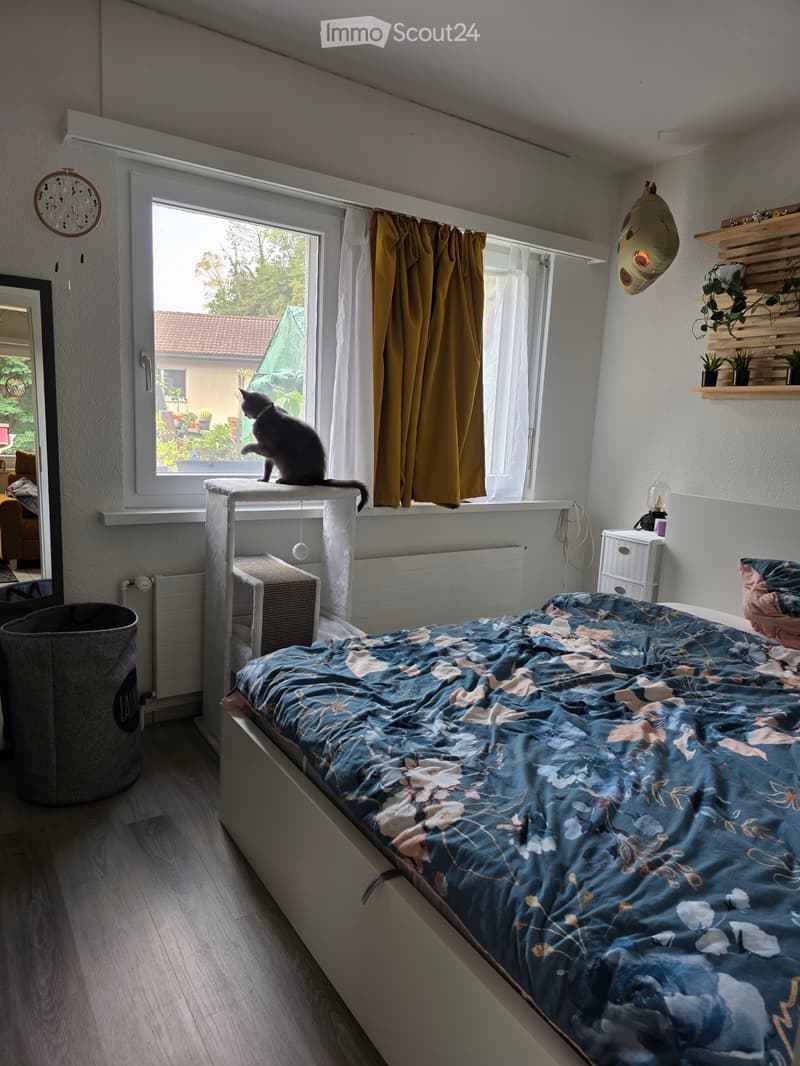 Tenant wanted for 2.5 room apartment in Mollis (4)