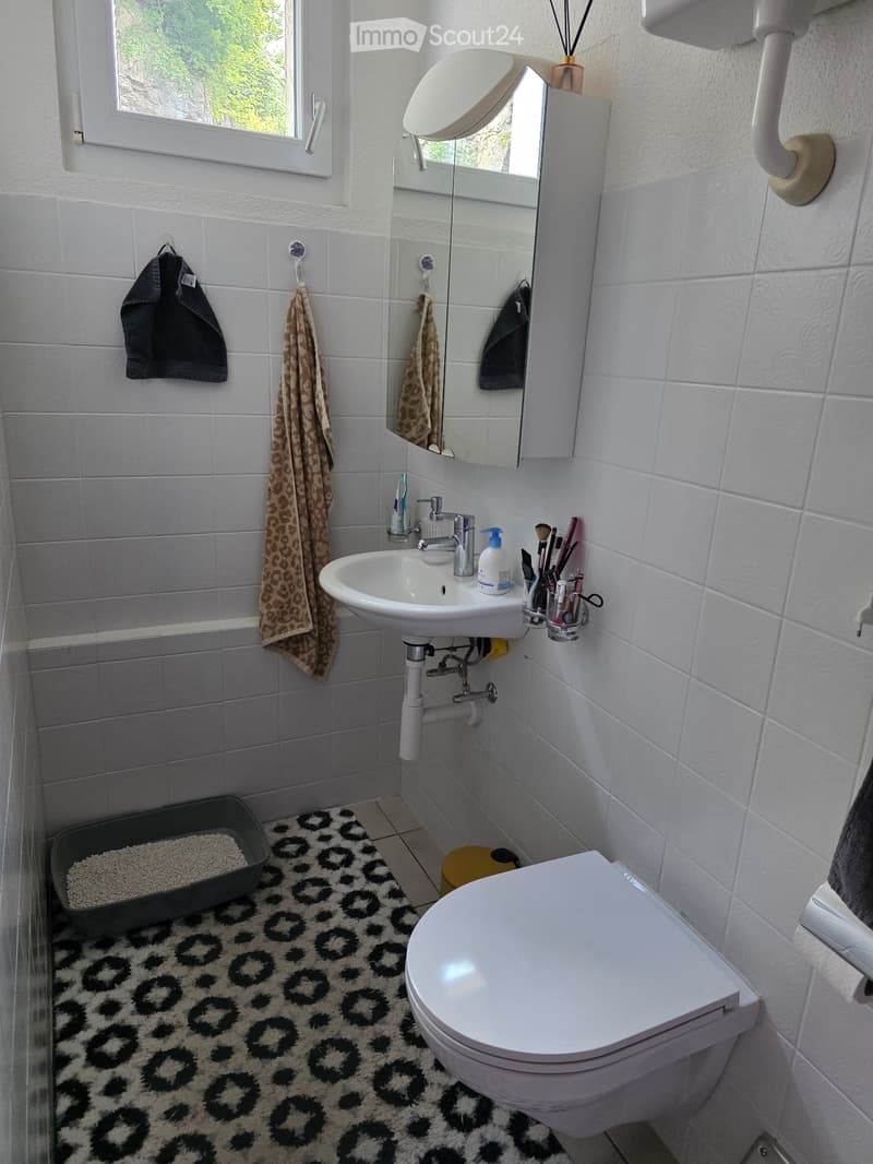 Tenant wanted for 2.5 room apartment in Mollis (5)