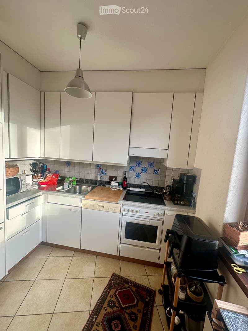 Wohnung 4.5 Zimmer gegenüber dem Ospedale Civico LUGANO (4)