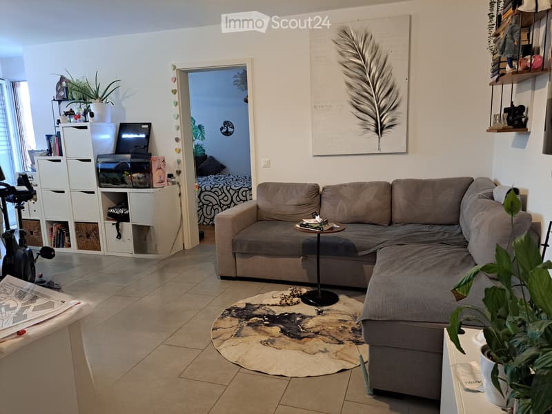Tesserete 2.5 locali (2)