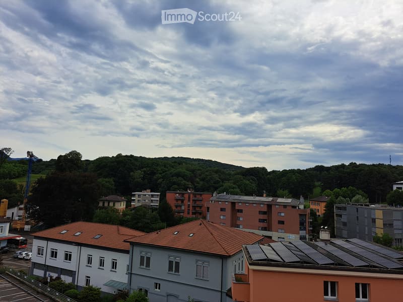 Tesserete 2.5 locali (5)