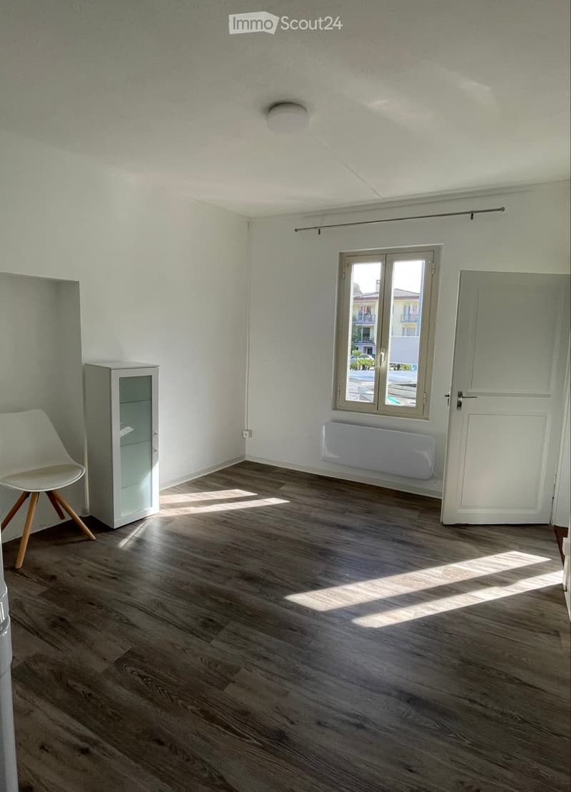 Apartment 3.5 for rent (3)