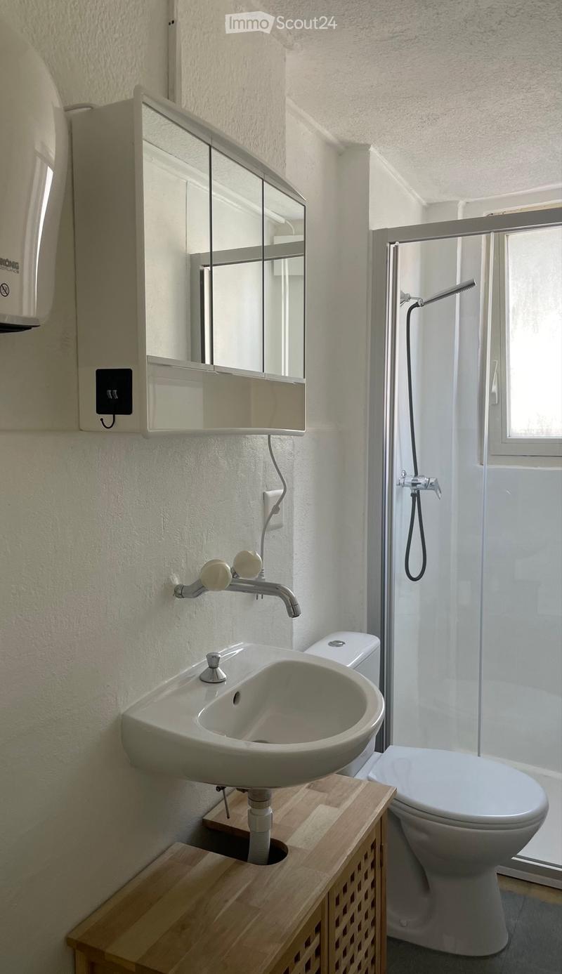 Apartment 3.5 for rent (5)
