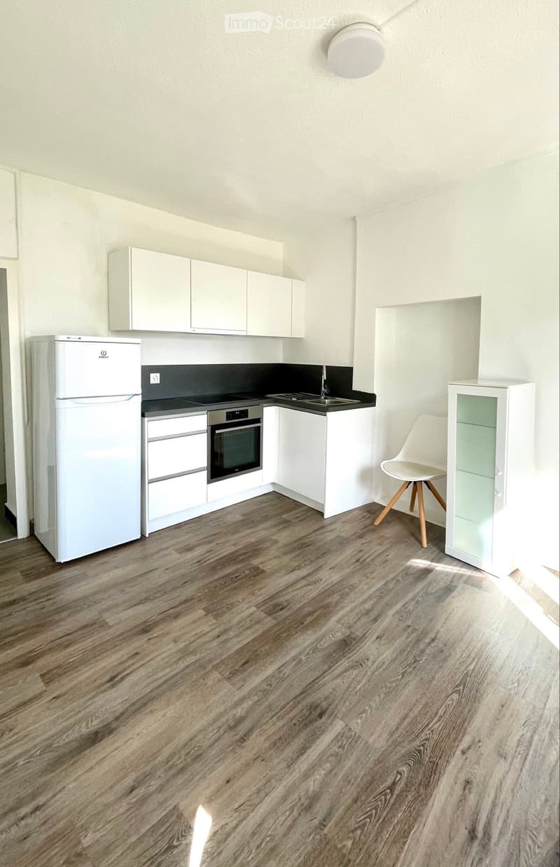 Apartment 3.5 for rent (1)
