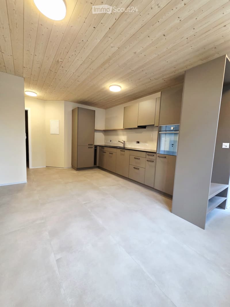 Appartamento moderno 2.5 locali (1)