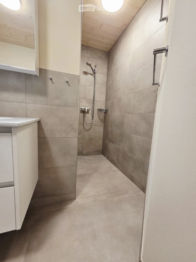 Appartamento moderno 2.5 locali (5)