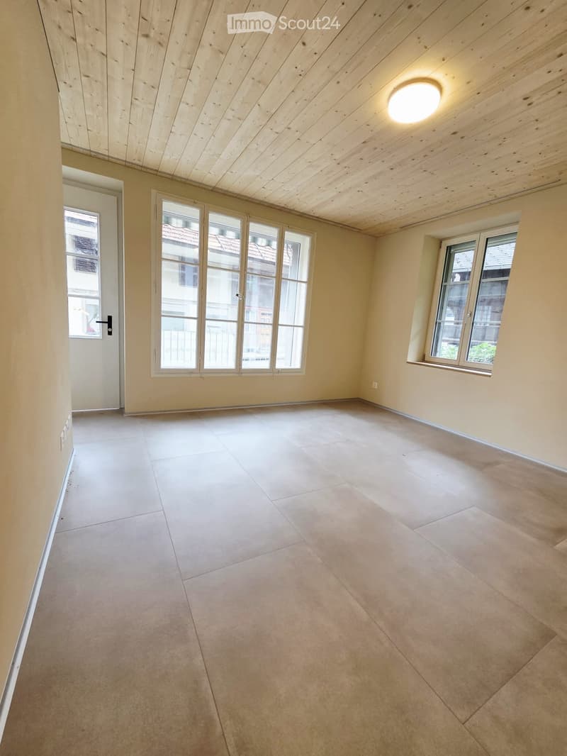 Appartamento moderno 2.5 locali (2)