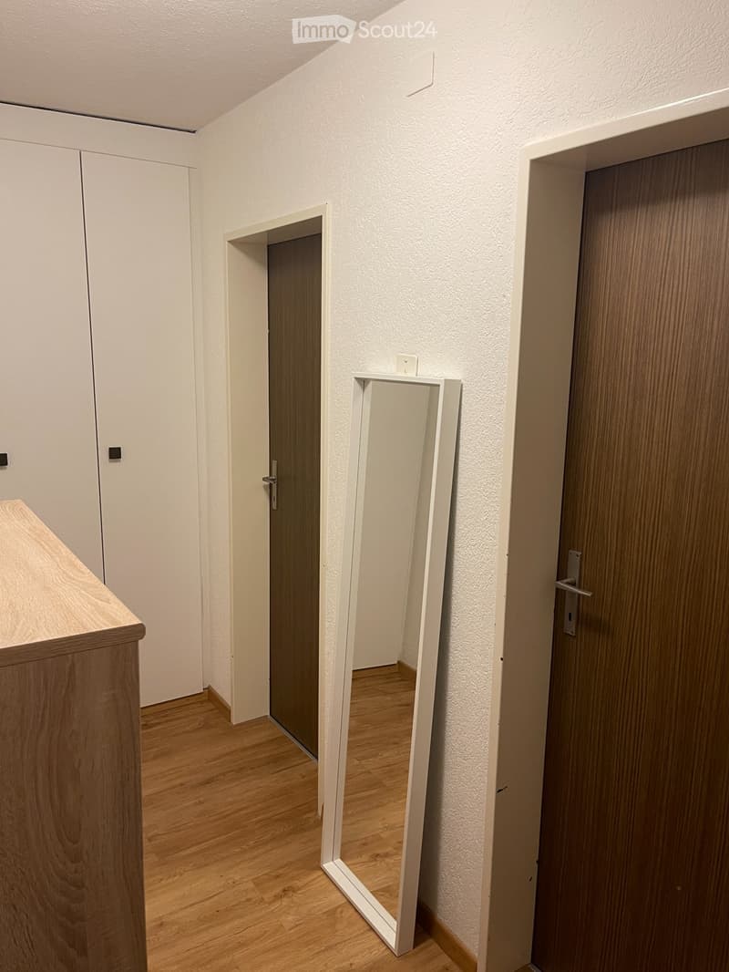 1.5-Room Studio in Zuchwil (SO) including Furniture (4)