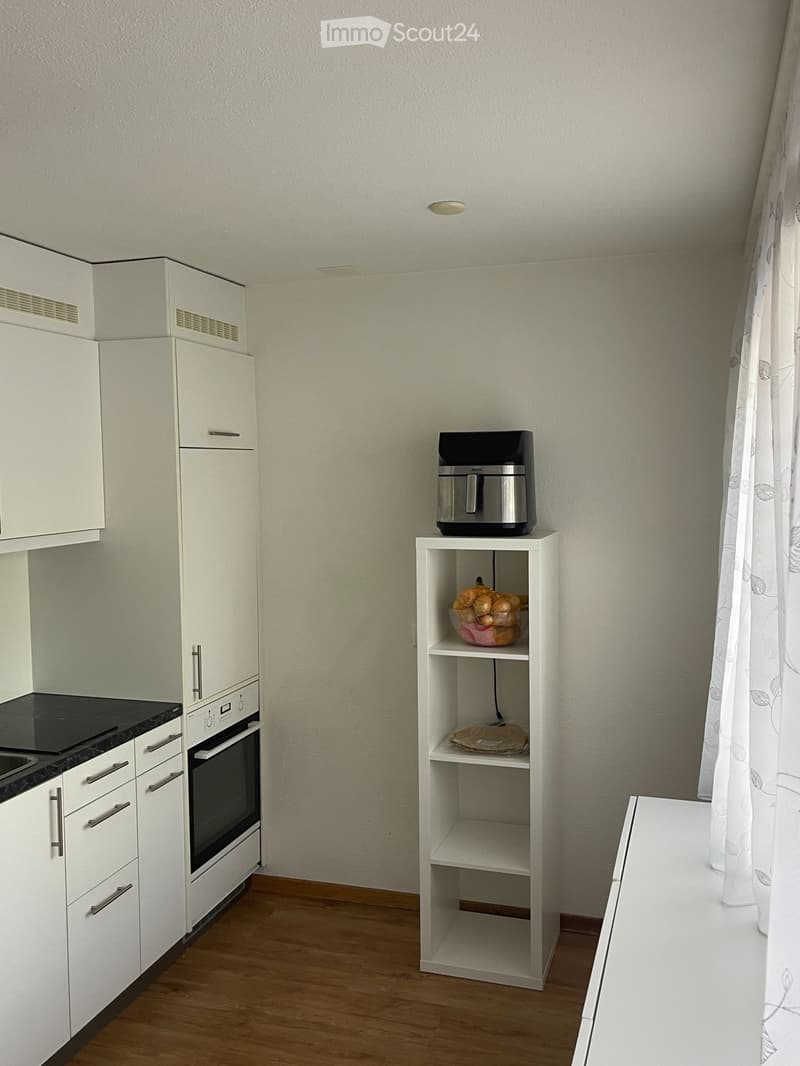 1.5-Room Studio in Zuchwil (SO) including Furniture (3)