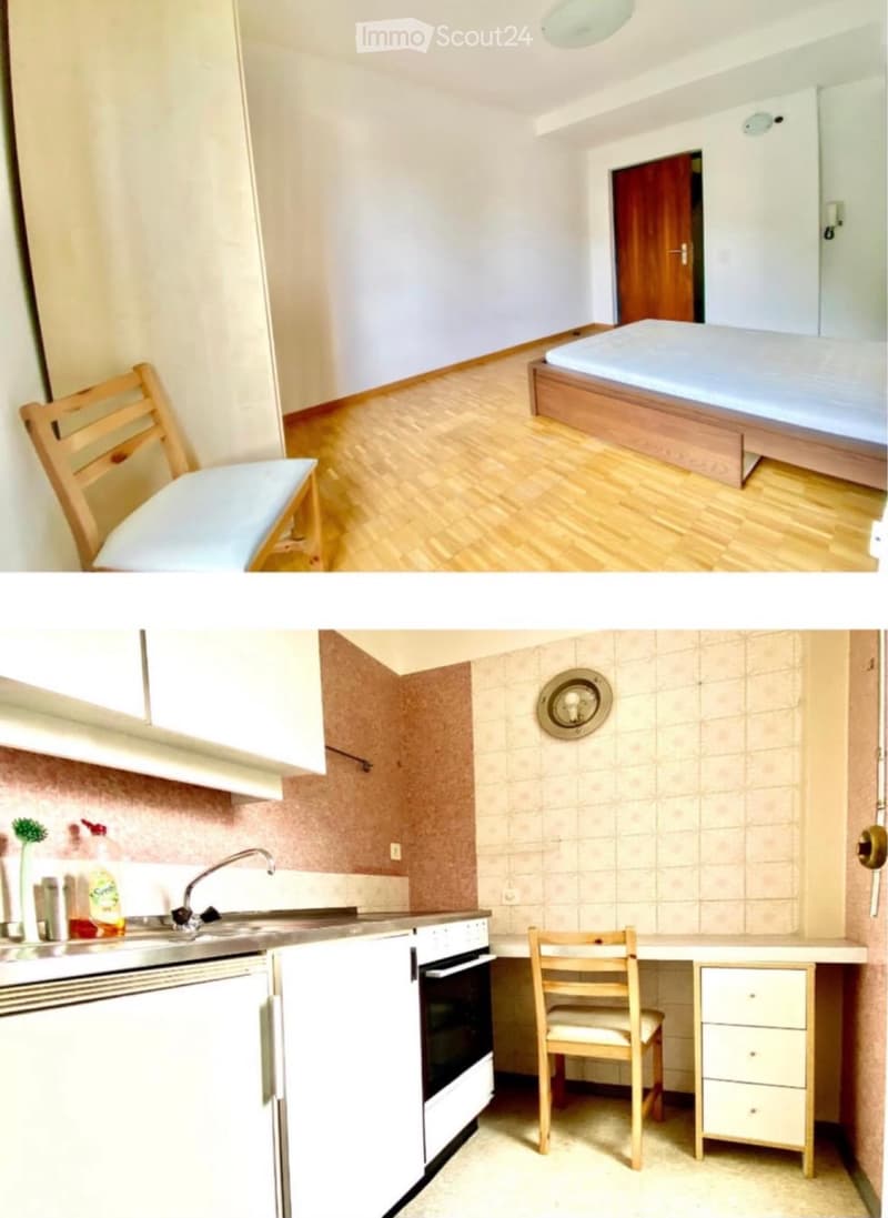 Rental apartment of 1.5 rooms in a condominium with a pool (2)