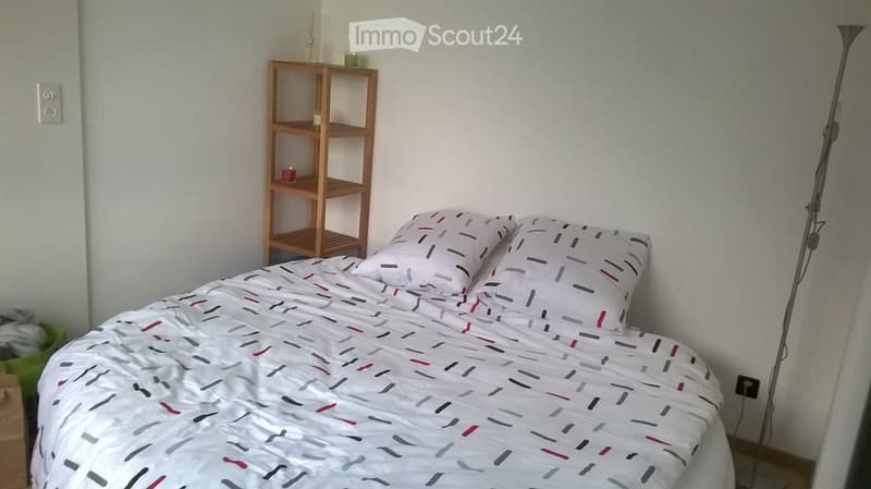 Room for rent in furnished 2-room apartment (3)