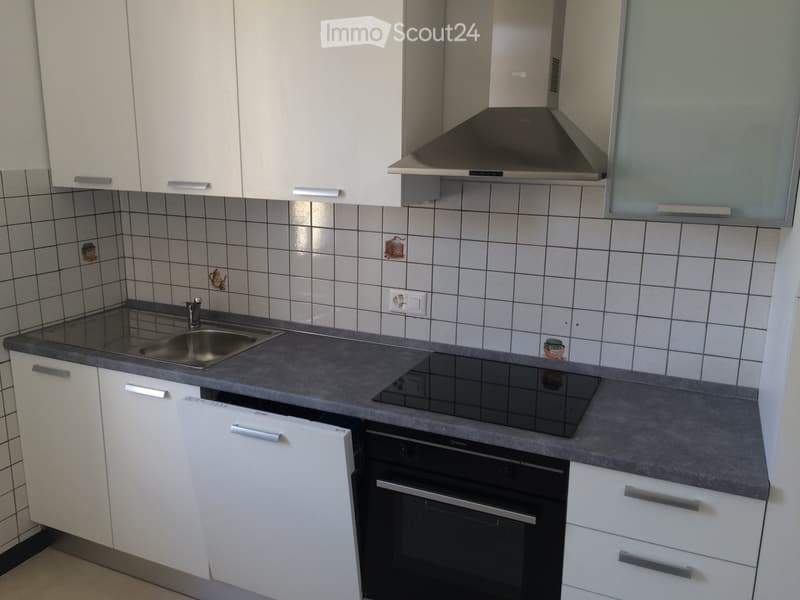 3.5-room apartment near Chiasso train station (2)