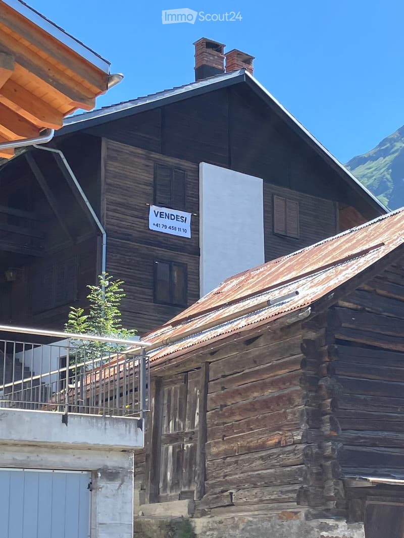 Maison avec 2 appartements (1)