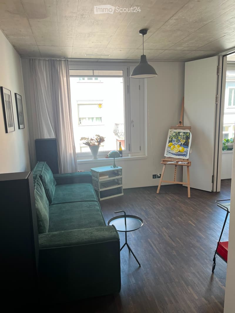 Appartamento loft unico nel distretto 4 (3)