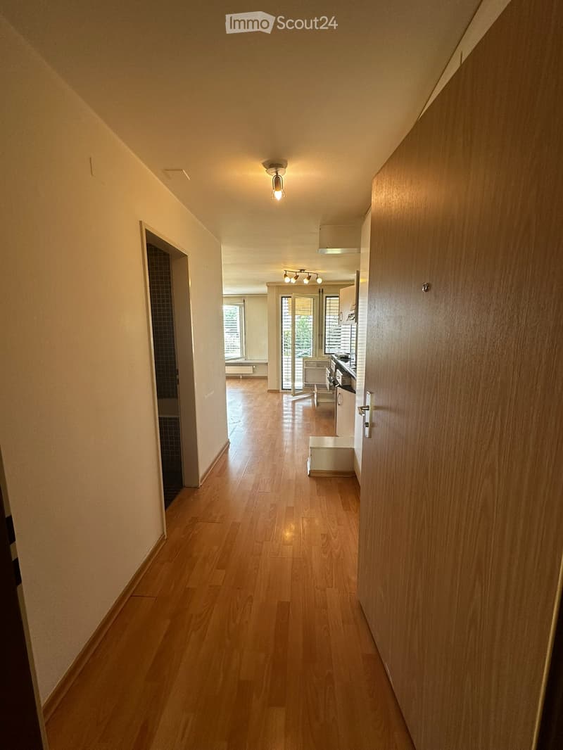Appartamento 1 stanza a 8307 Illnau-Effretikon (3)