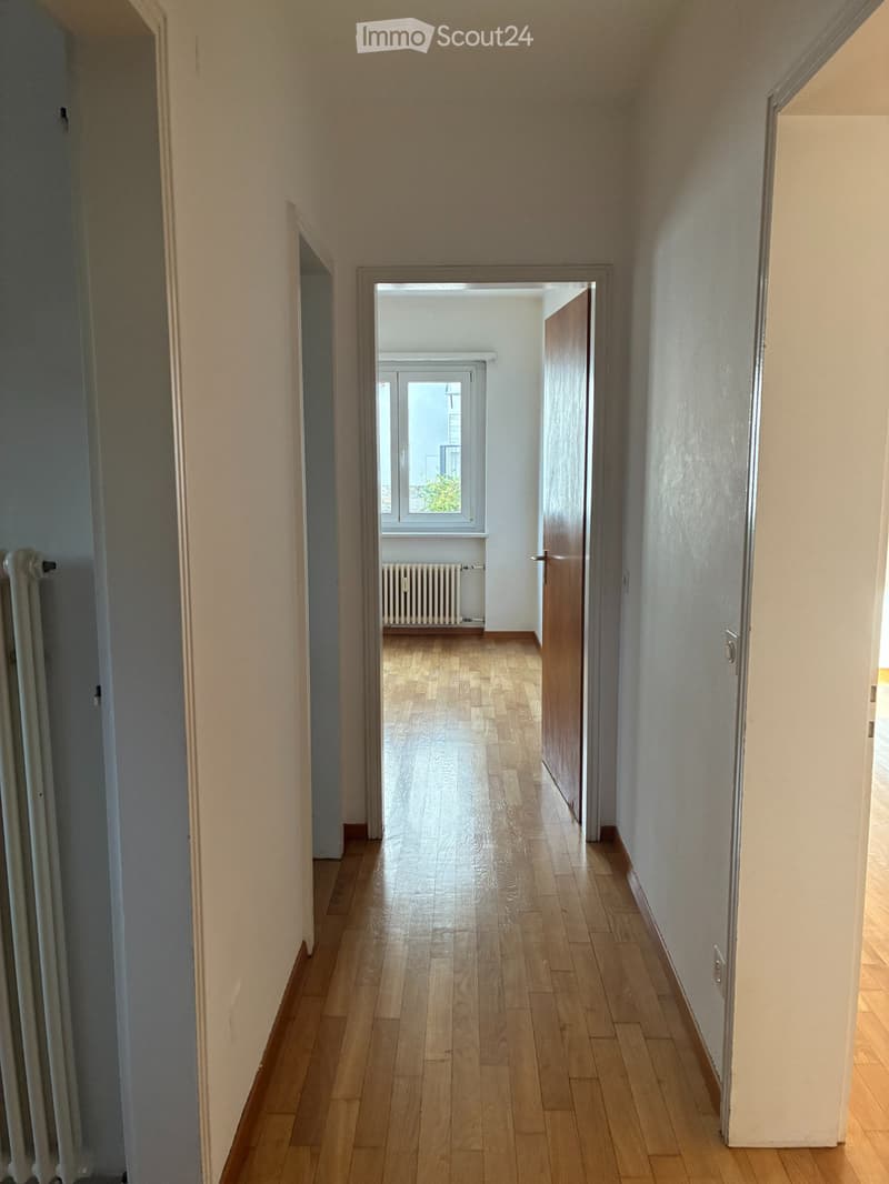 Cerco subentrante, bilocale Mendrisio centro (3)