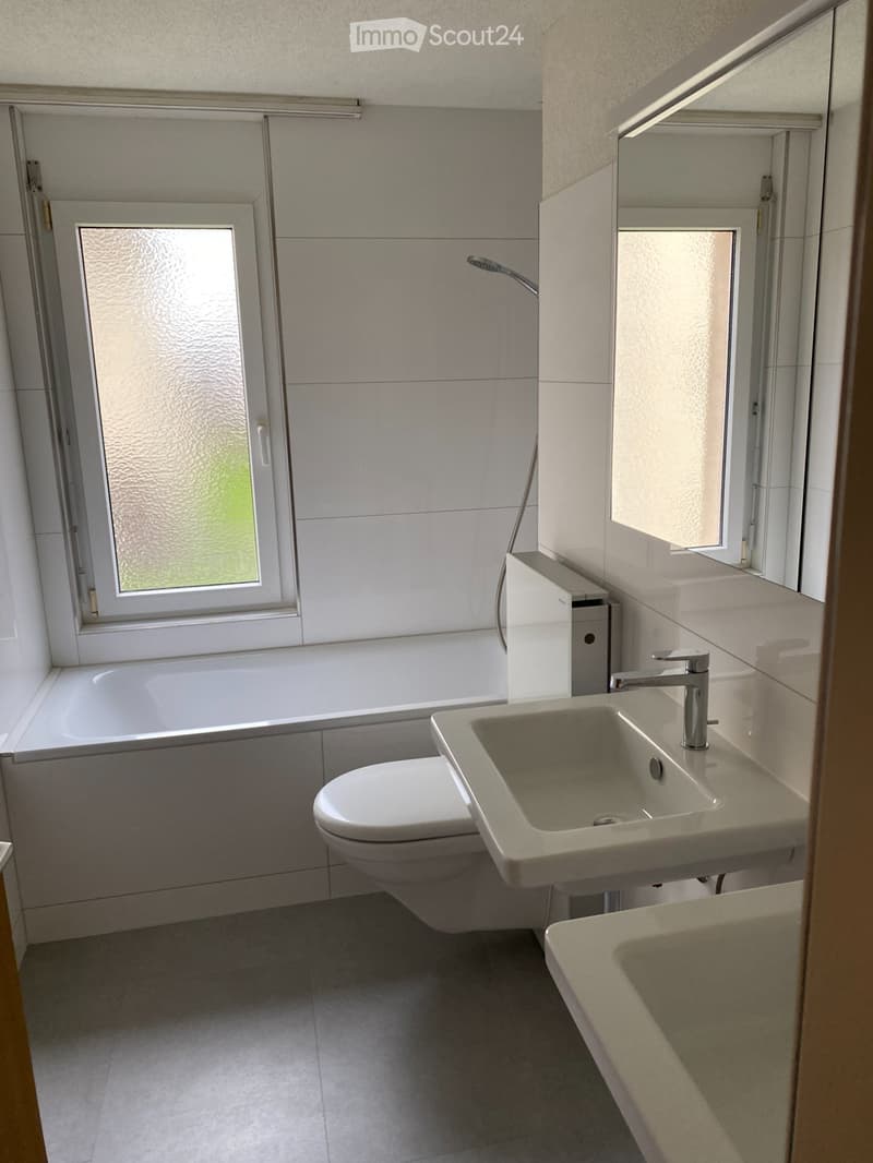 Large Apartment (4)